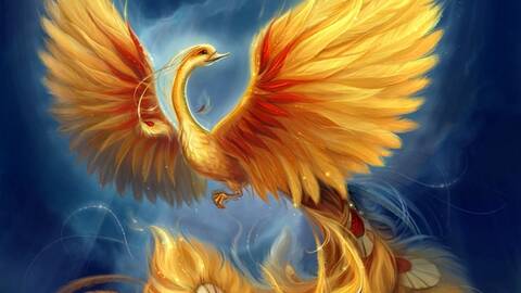 DolceFenice DolceFenice