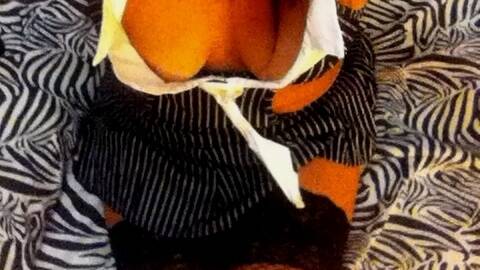 SENSUALITY-89 SENSUALITY-89