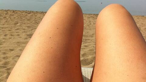 laborghese laborghese