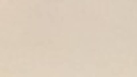 desideramicalda desideramicalda