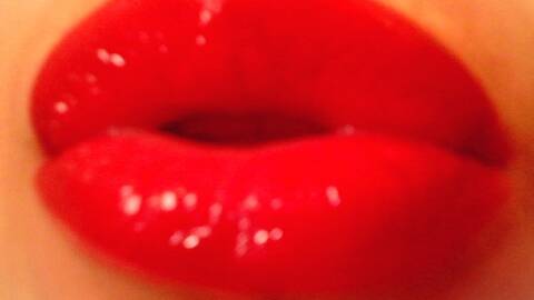 EvaMinerva EvaMinerva