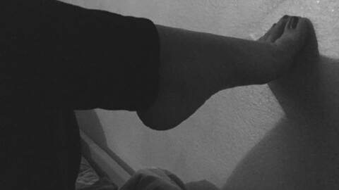 SweetDaisy SweetDaisy