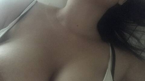 Dolceribellina Dolceribellina