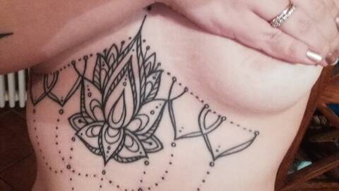 Bordergirl29 Bordergirl29