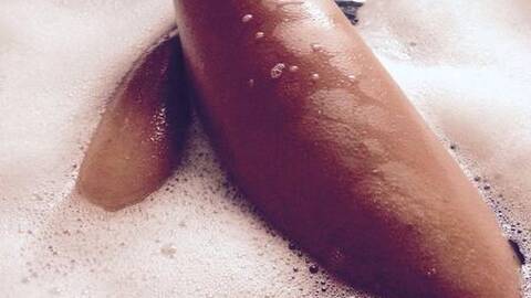 Ele-o-nora Ele-o-nora