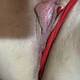 Private Photo of morena_rm43